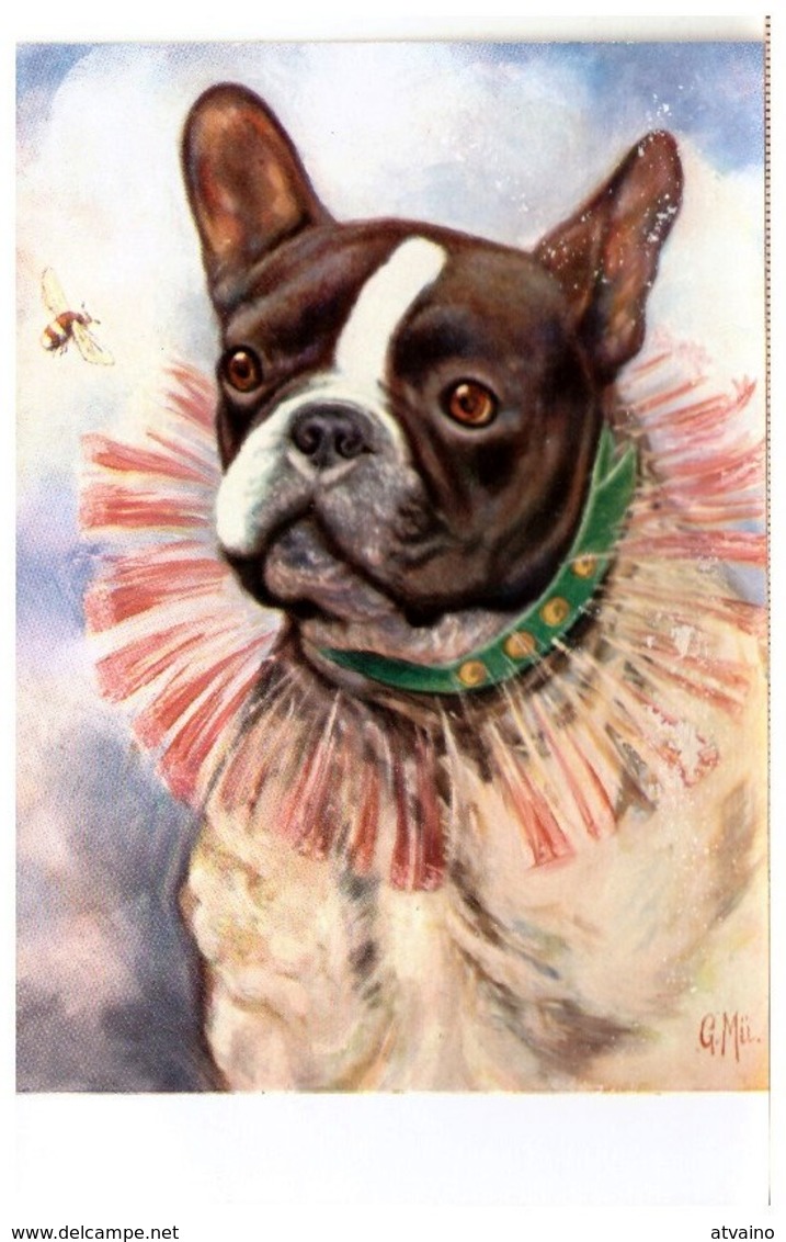 FRENCH BULDOG Bee By G. MU Vintage Postcard 1920s - Sonstige & Ohne Zuordnung