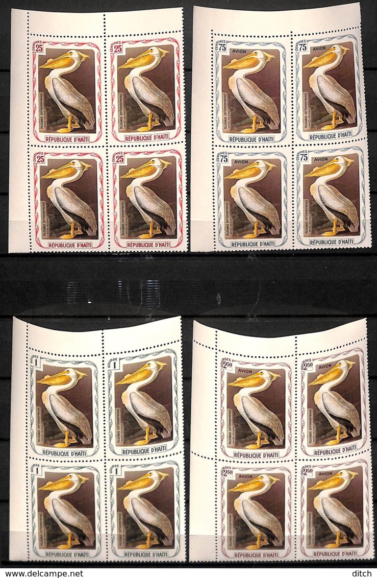 [74967]Haïti  - Oiseaux (Pelicanus Errhytrorhynchos), Pélican, Fantaisie, SC Avec Poste Aérienne, En BD4 Cdf (différente - Haïti