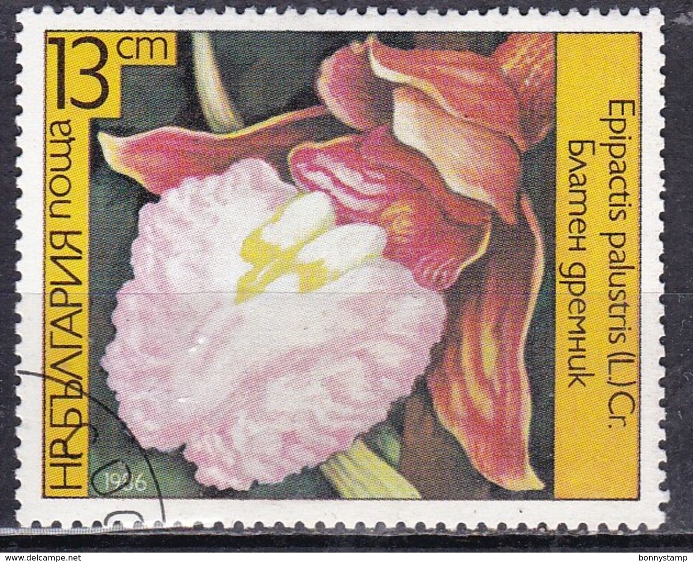 Bulgaria, 1986 - 13s Epipactis Palustris - Nr.3141 Usato° - Usati