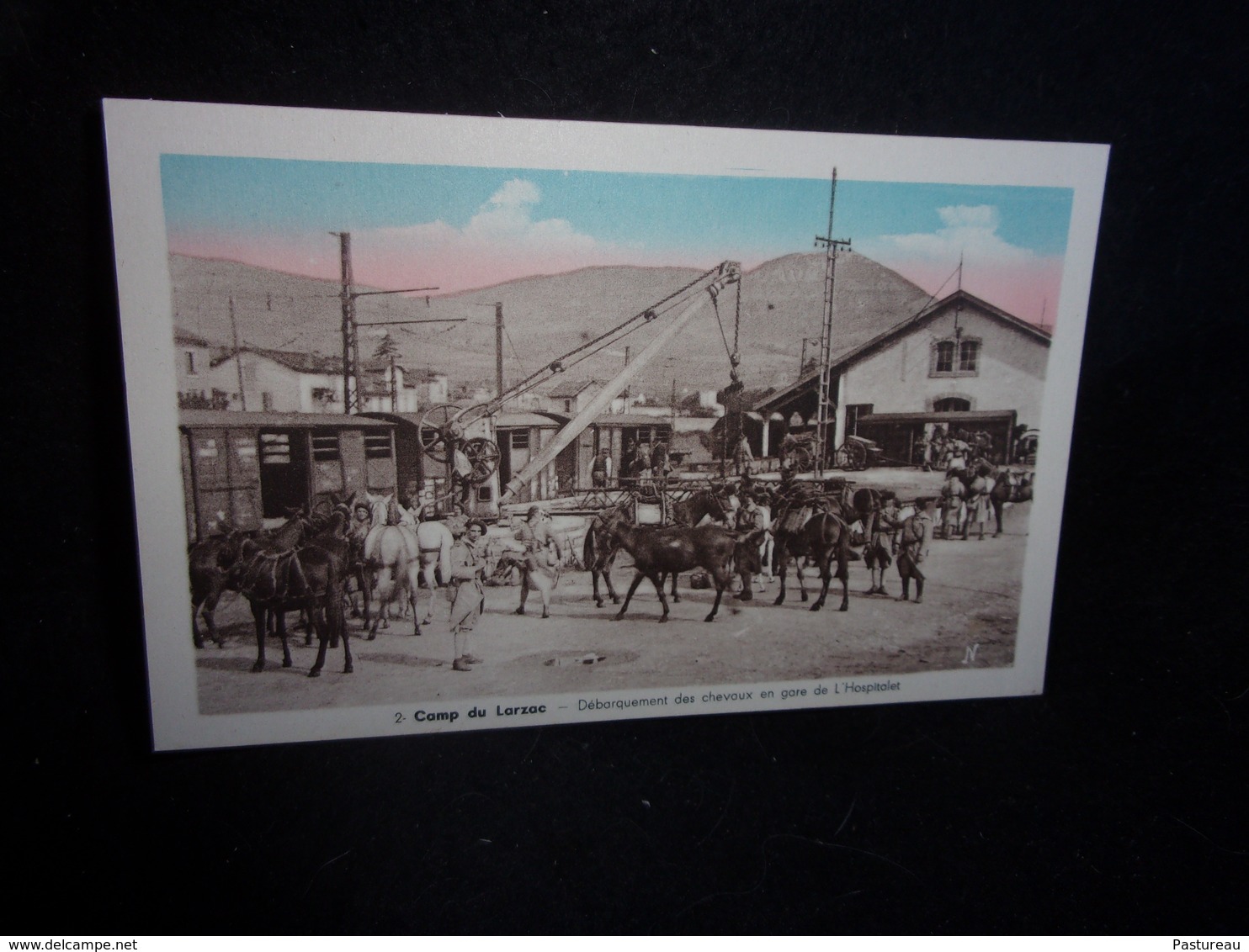 Aveyron. TIRAGE ORIGINAL .Le Camp Du Larzac. Débarquement Des Chevaux En Gare De L ' Hospitalet .Voir 2 Scans . - Other & Unclassified