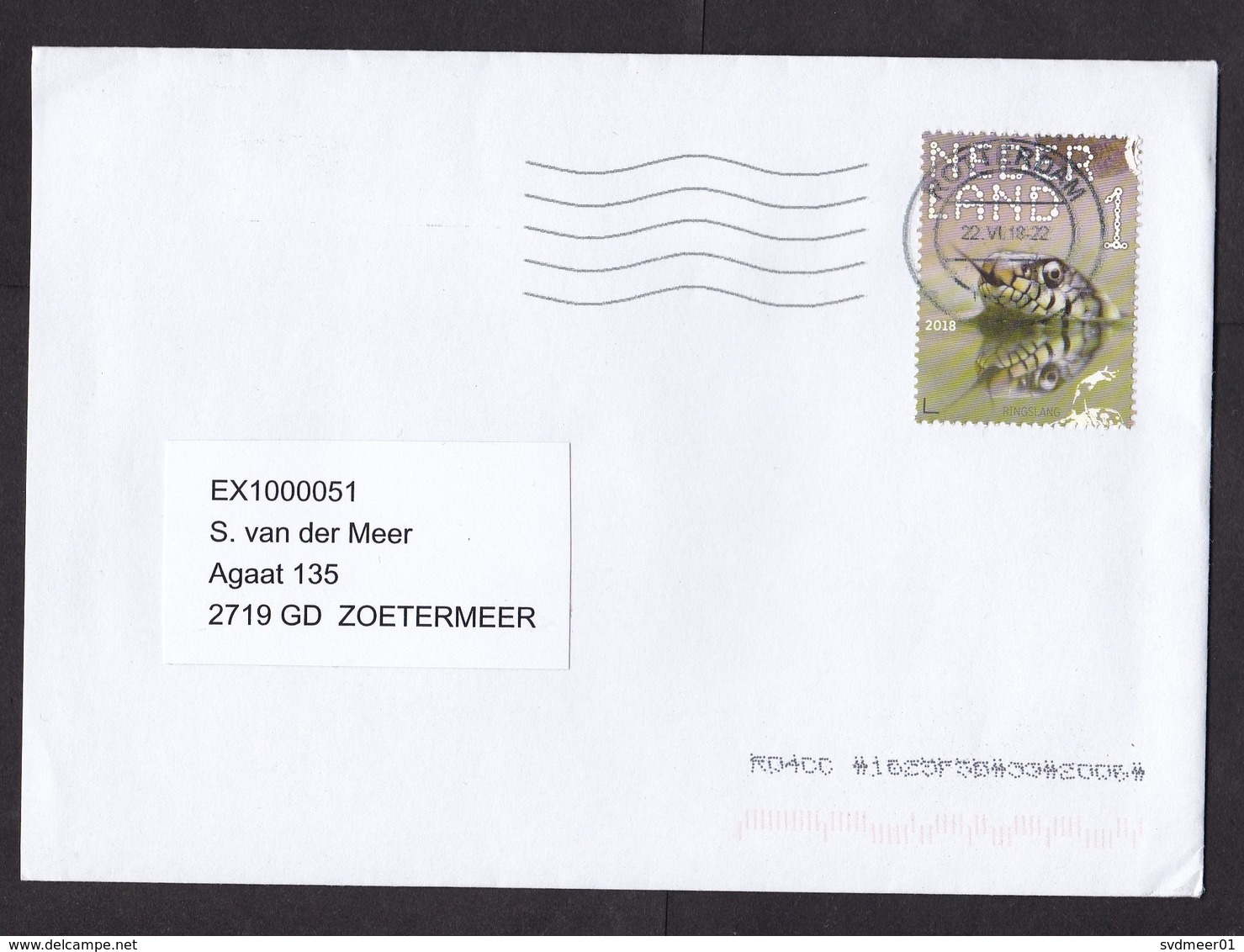 Netherlands: Cover, 2018, 1 Stamp, Snake, Reptile, Swimming In Water (traces Of Use) - Covers & Documents