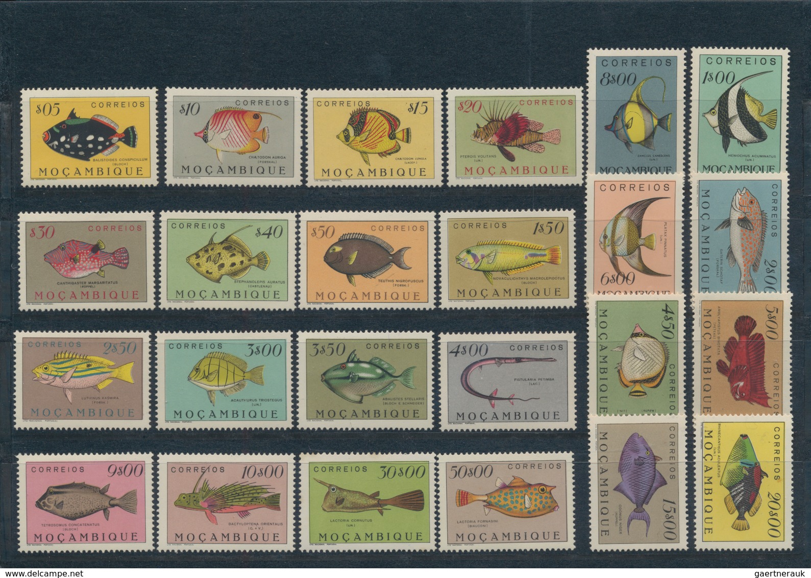 Portugiesische Kolonien In Afrika: 1938/1975, Beautiful Mint Never Hinged Collection Of The Portugue - Congo Portugais