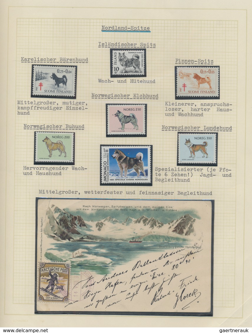 Thematik: Tiere-Hunde / Animals-dogs: 1960 - 1980 (ca.), Exhibition Collection On The Subject On 48 - Chiens