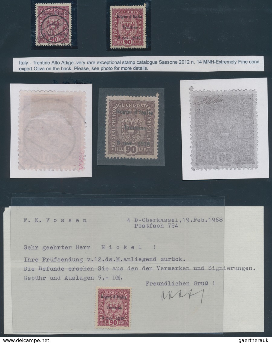 Österreich - Nebengebiete: 1918-1923, A Very Extensive Study Collection Of The Former Austrian Or Hu - Other & Unclassified