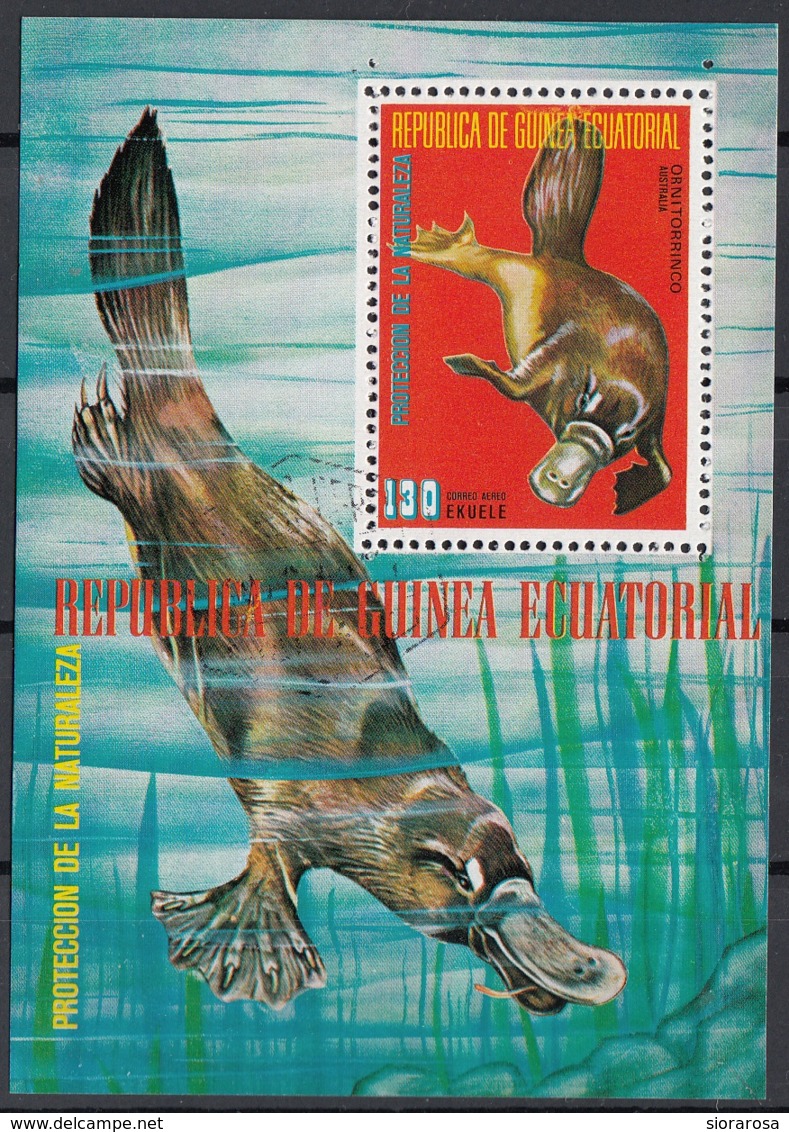 Guinea Equatoriale 1974 Sc. 74160 Ornitorinco  Sheet Perf. CTO Proteccion De La Naturaleza Australia - Guinea Equatoriale