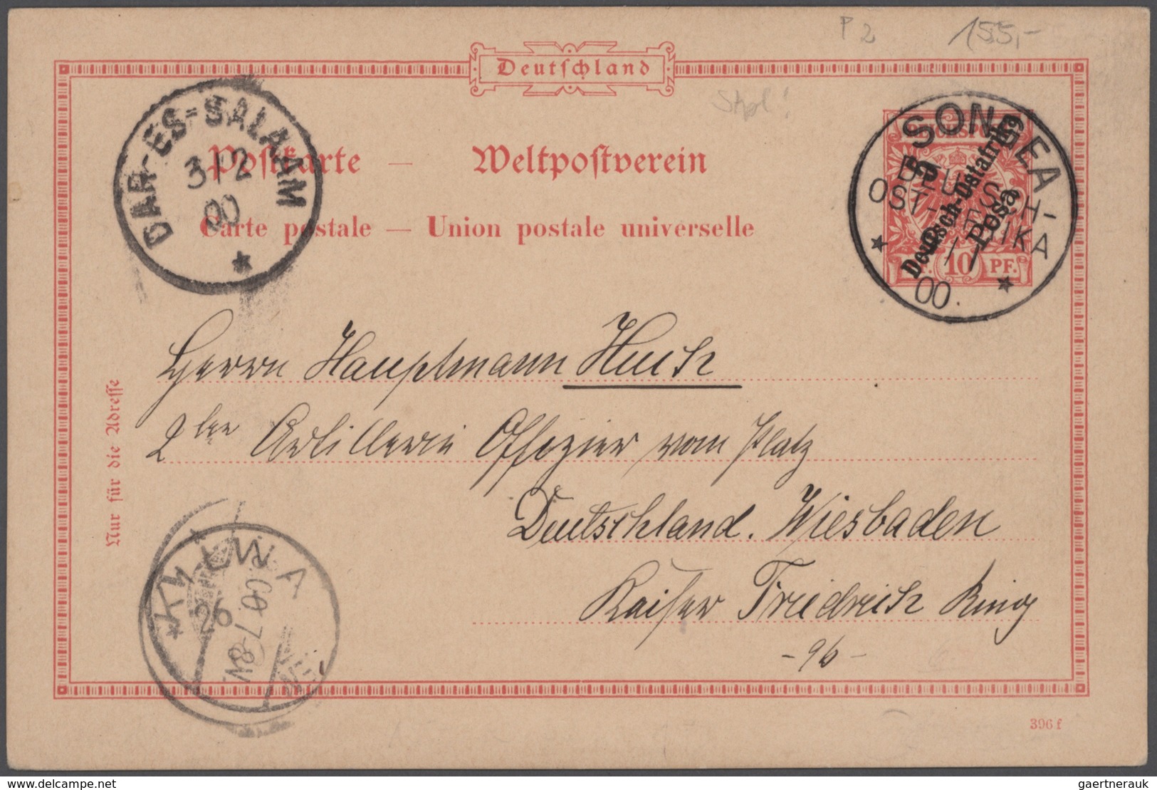 Deutsche Kolonien: 1890-1920, Posten Mit Marken Auf Steckseiten, Dabei Auch Etliche Höchstwerte, Daz - Autres & Non Classés