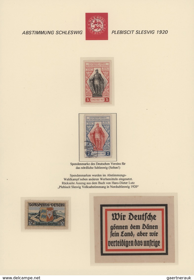 Deutsche Abstimmungsgebiete: Schleswig: 1920, Vielseitige Spezialpartie, Dabei Interessanter Teil Vi - Autres & Non Classés