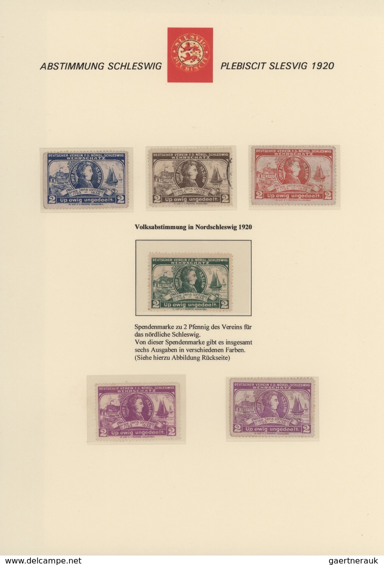 Deutsche Abstimmungsgebiete: Schleswig: 1920, Vielseitige Spezialpartie, Dabei Interessanter Teil Vi - Autres & Non Classés