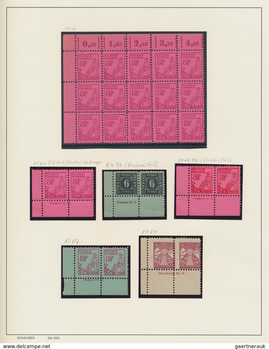 Sowjetische Zone: 1945/1949, Umfassende Spezialisierte Postfrische Sammlung Im Schaubek-Album, Immer - Autres & Non Classés