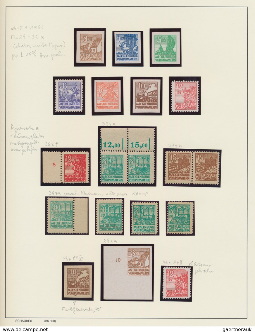 Sowjetische Zone: 1945/1949, Umfassende Spezialisierte Postfrische Sammlung Im Schaubek-Album, Immer - Other & Unclassified