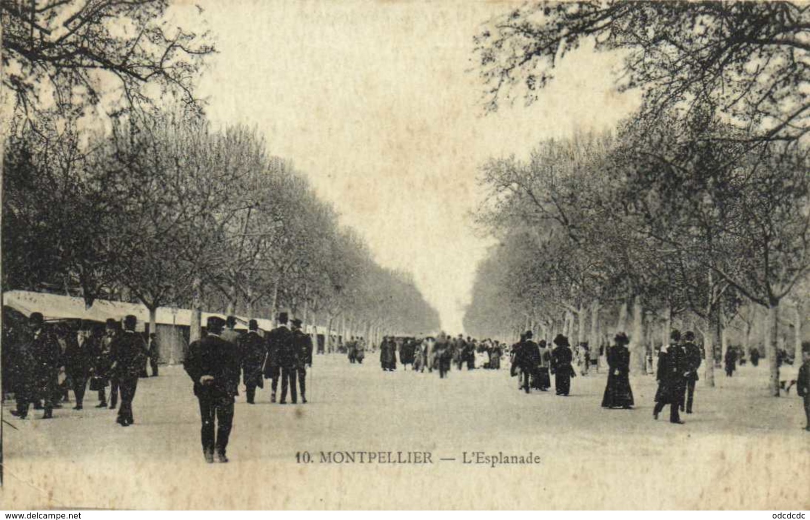 MONTPELLIER  L'Esplanade RV - Montpellier