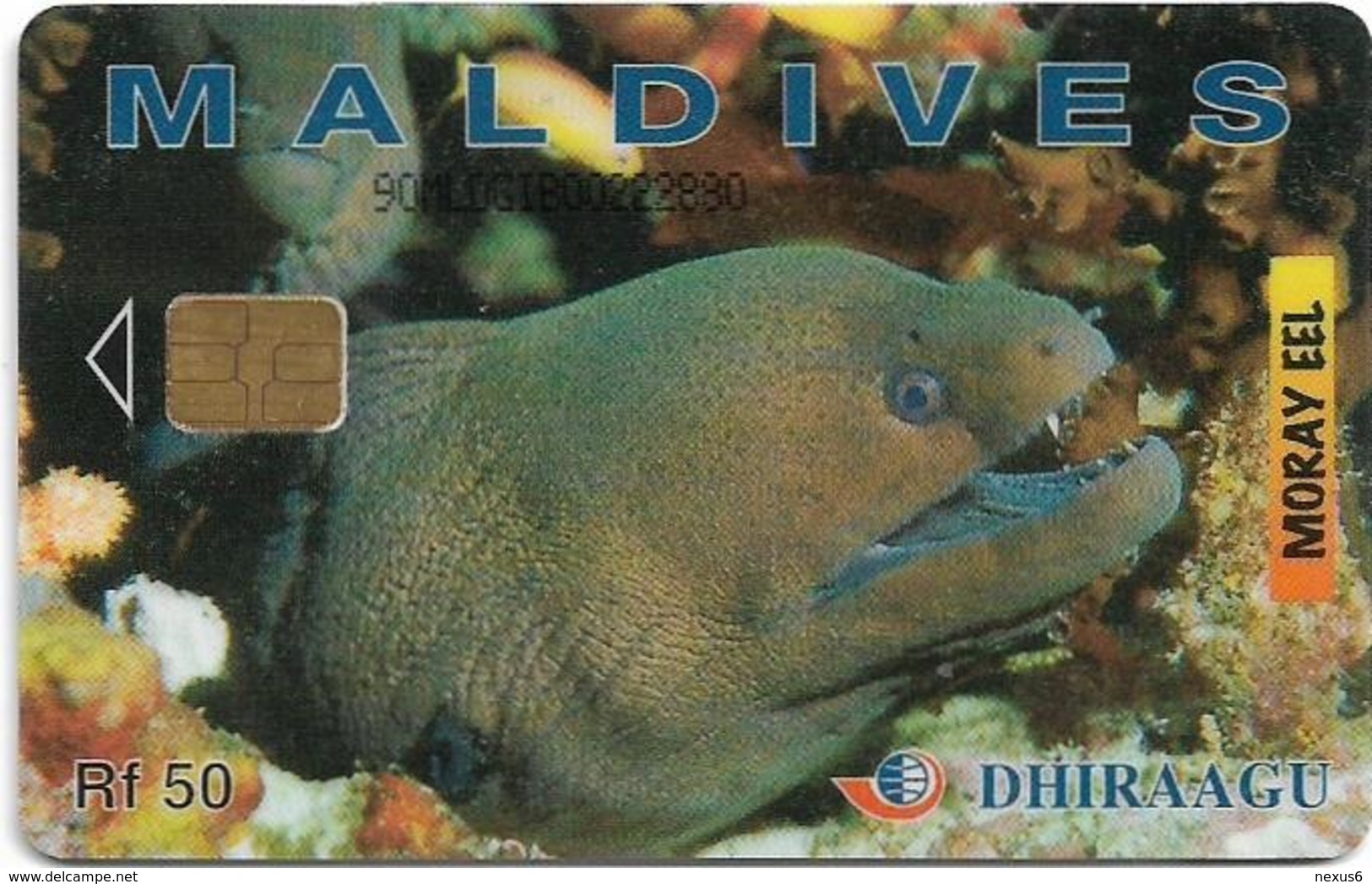 Maldives - Dhiraagu (chip) - Morey Eel - 90MLDGIB - Chip Siemens S30, 50MRf, Used - Maldivas