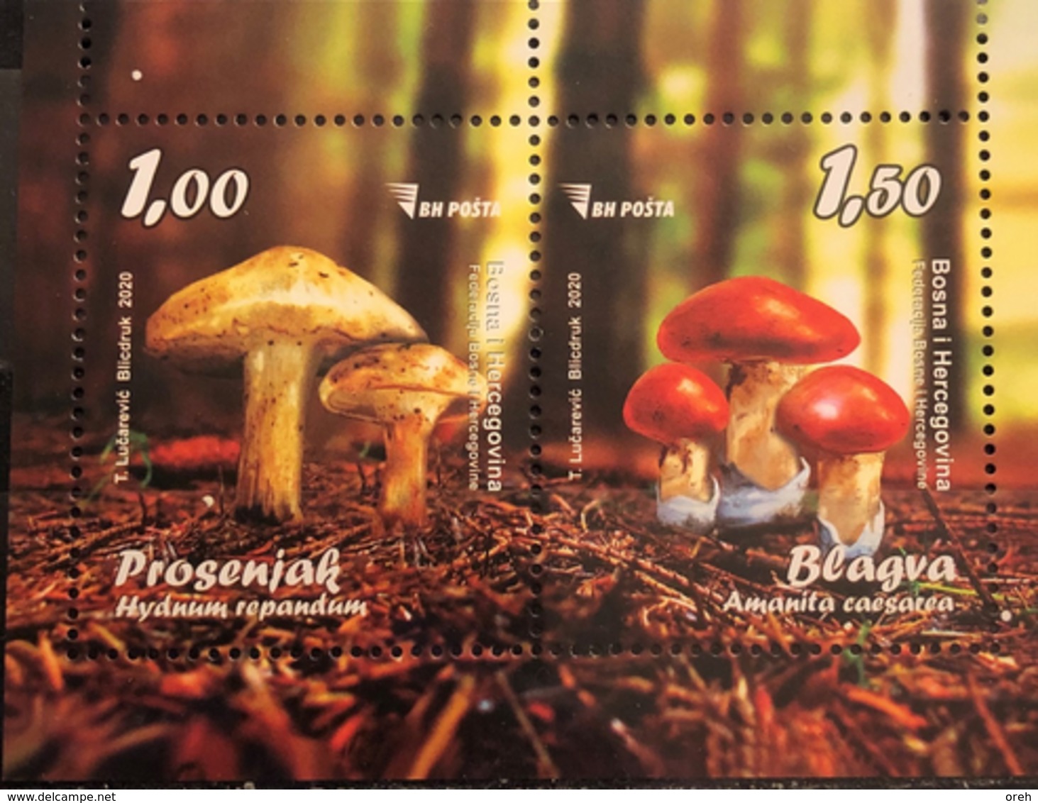 BOSNIA AND HERZEGOVINA  2020,POST SARAJEVO,FLORA,MUSHROOMS,BLOCK,AMANITA,MNH - Champignons