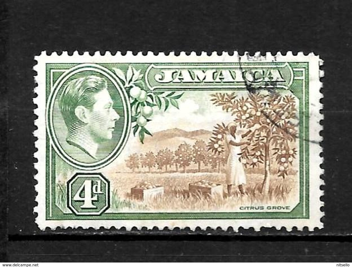 LOTE 1991  ///   COLONIAS INGLESAS - JAMAICA    ¡¡¡ OFERTA - LIQUIDATION !!! JE LIQUIDE !!! - Jamaica (...-1961)