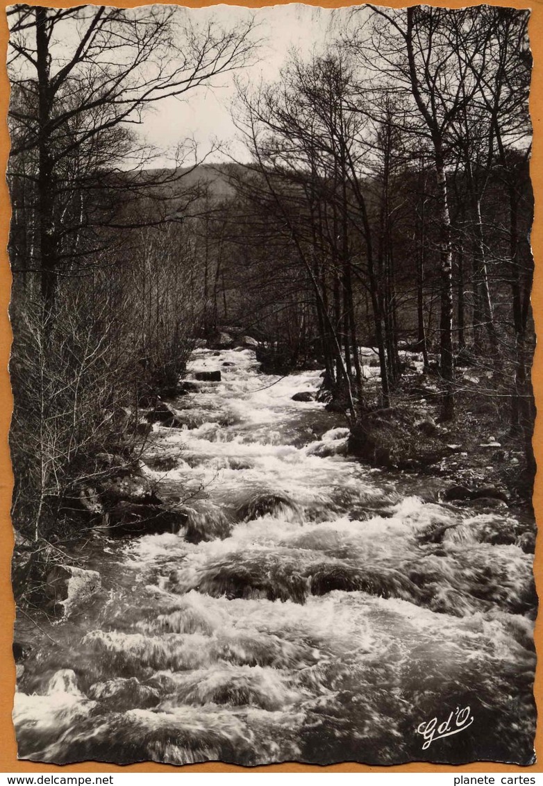 63 / Ruisseau De La Faye Près Du Moulin Du Bègue - Env. D'Augerolles Et Du Brugeron (années 50) - Other & Unclassified