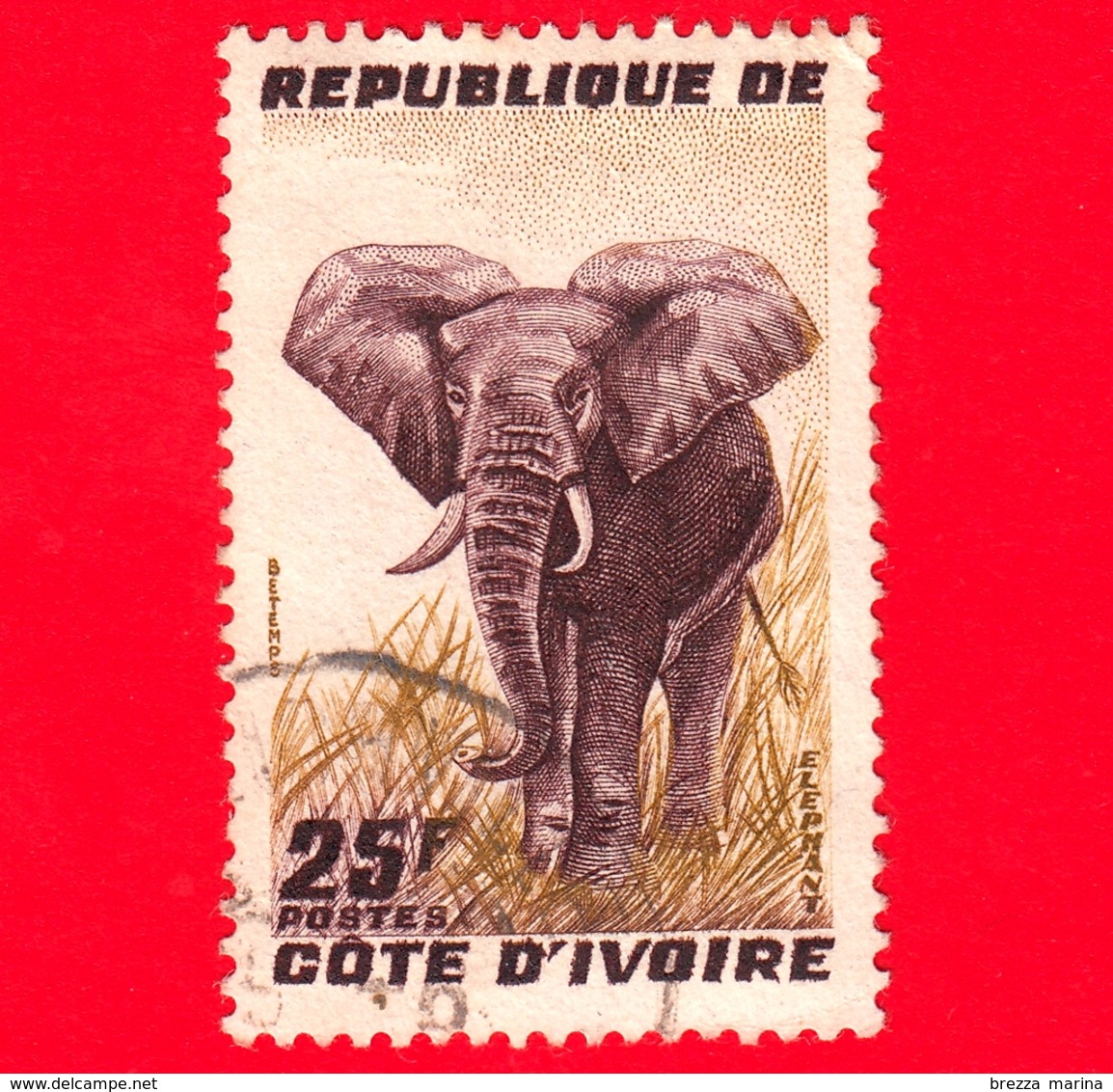 COSTA D'AVORIO - Usato - 1959 - Elefante Africano (Loxodonta Africana) - 25 - Costa D'Avorio (1960-...)