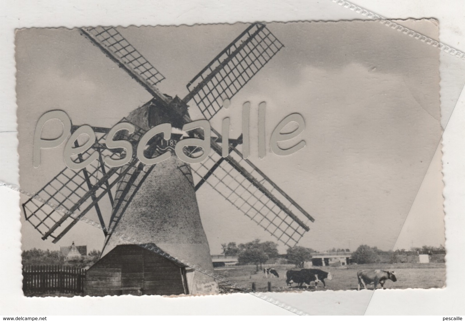 ZUID-HOLLAND - CP HOLLANDSE MOLEN / MOULIN A VENT BIJ OEGSTGEEST - N°38 - CIRCULEE EN 1956 TAXEE 3 TIMBRES TAXE - Autres & Non Classés