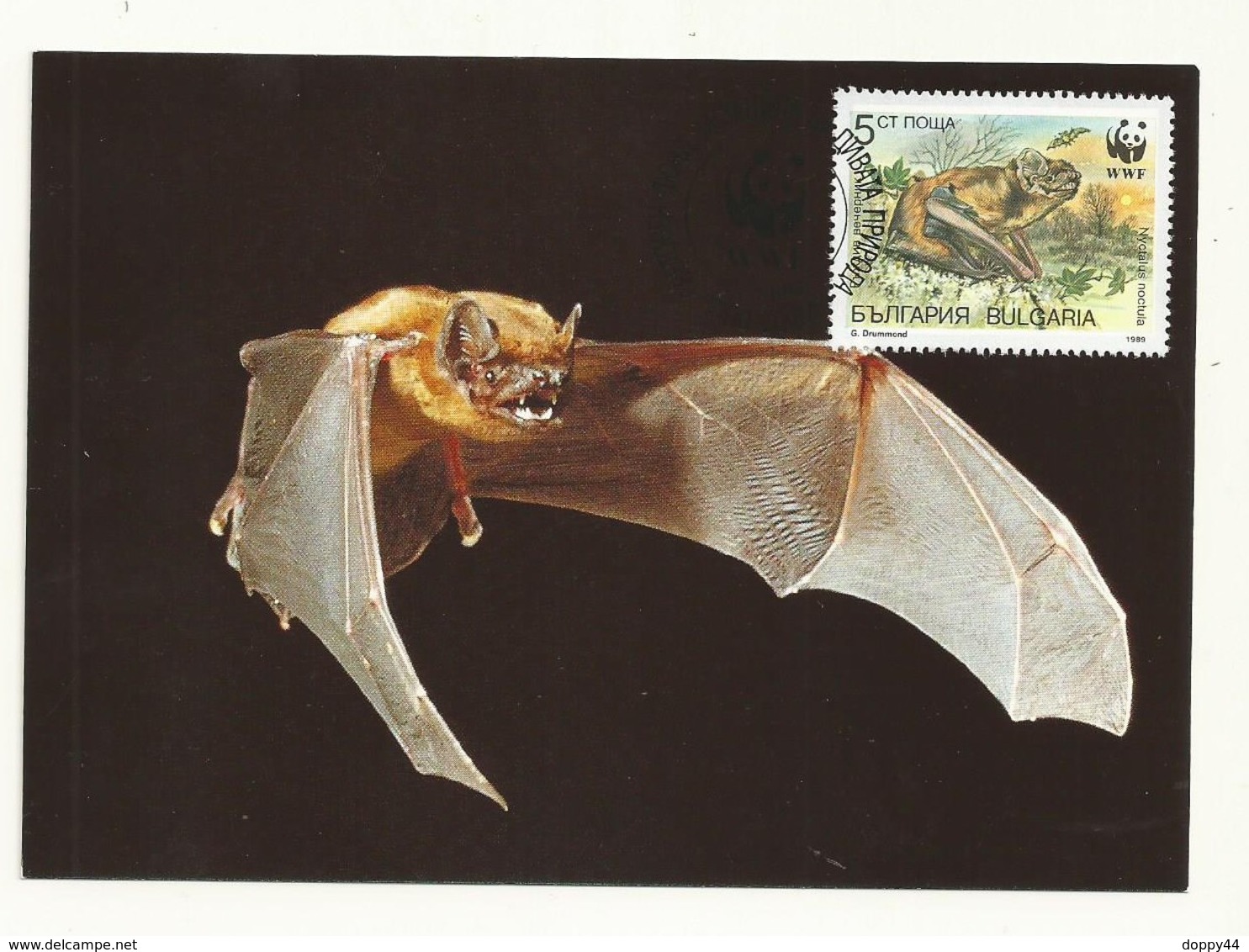 WWF  CARTE MAXIMUM  CHAUVE SOURIS TP  BULGARIE - Bats
