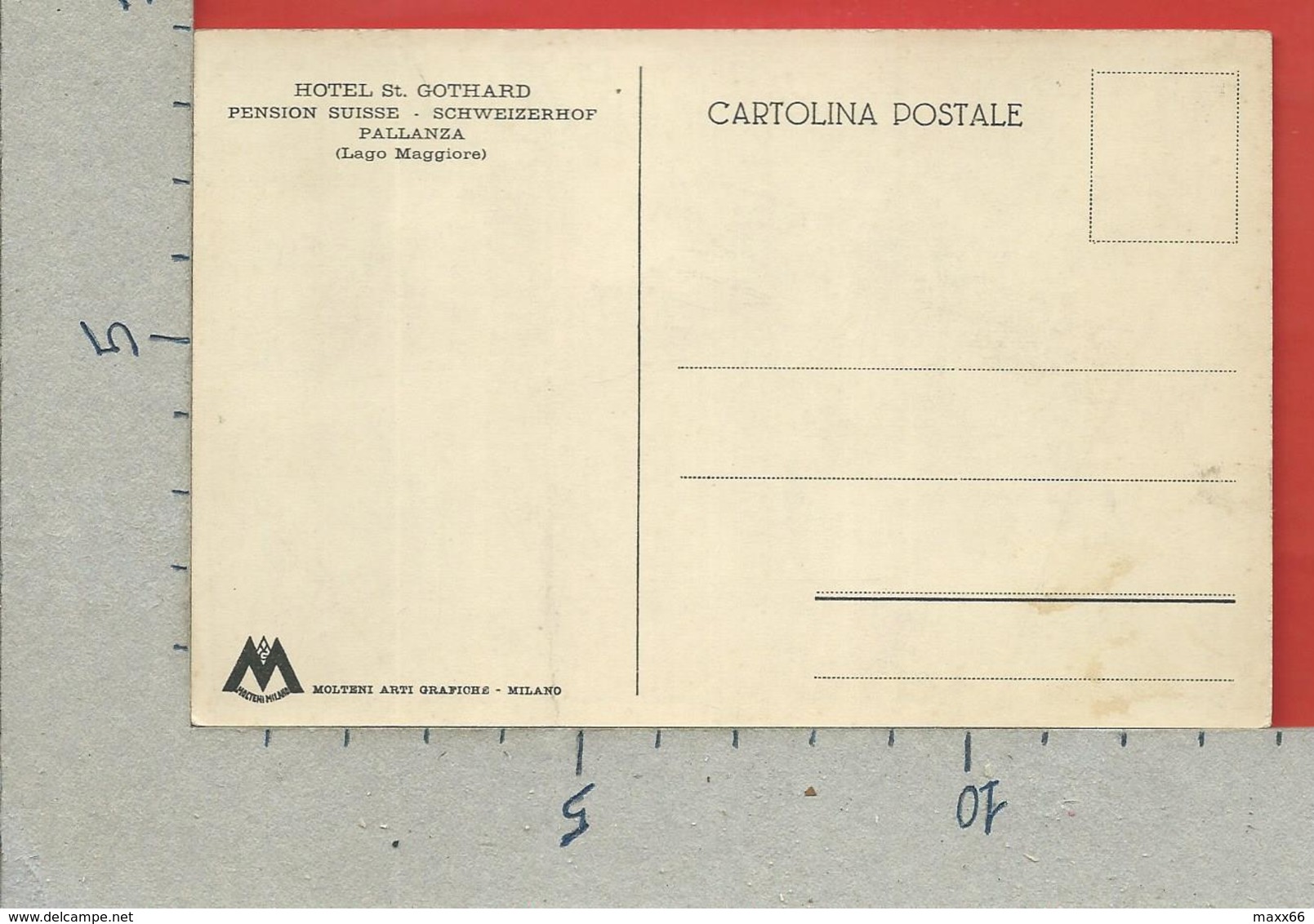 CARTOLINA NV ITALIA - PALLANZA (VB) - Hotel St. Gothard - Pension Suisse - Lago Maggiore - 9 X 14 - Verbania