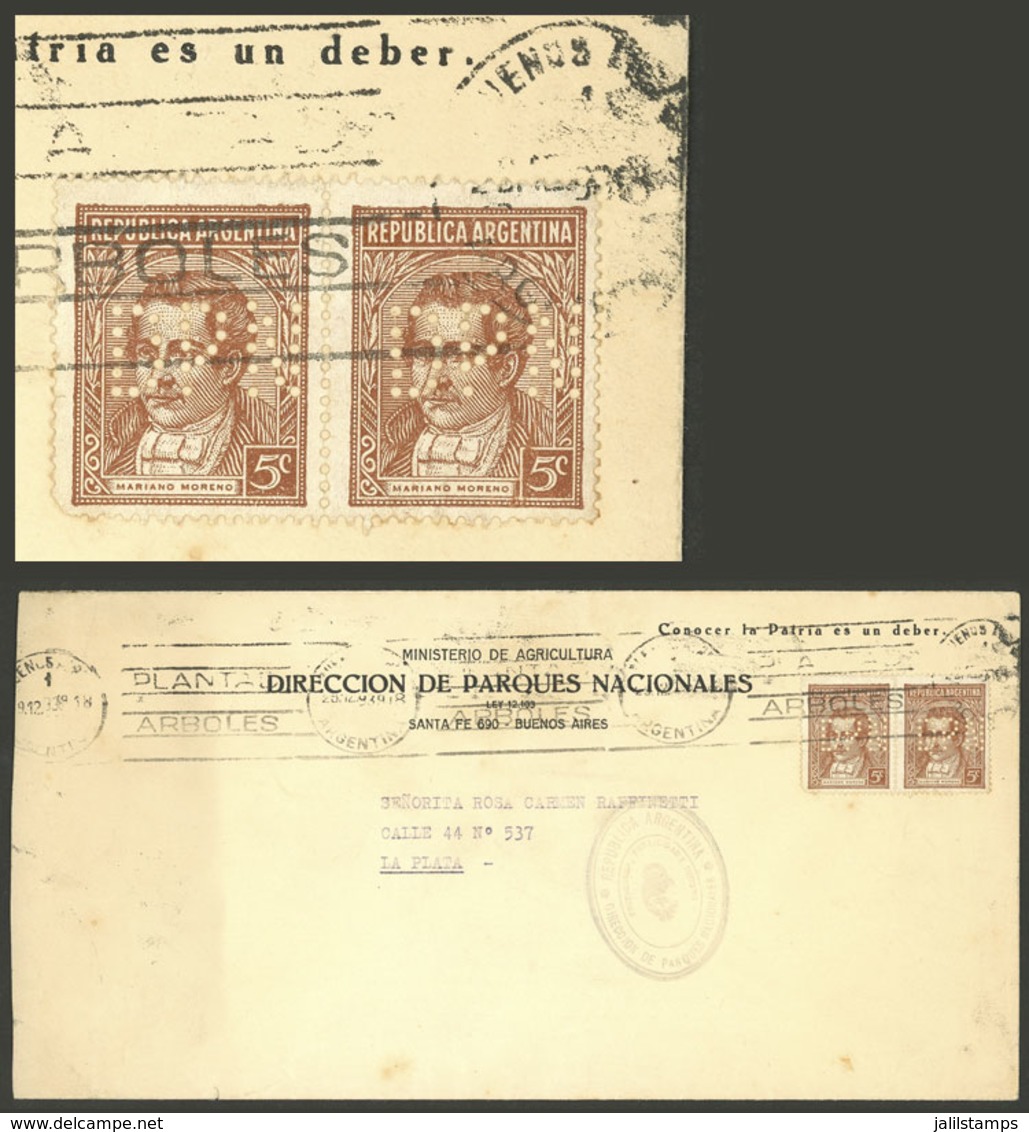 ARGENTINA: Cover Used In 1939, Franked With Pair 5c. Moreno Typographed On Chalky Paper, With "DPN" Perfin Of Dirección  - Otros & Sin Clasificación