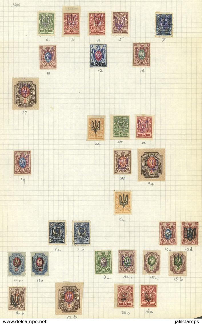 UKRAINE: Old Collection On 4 Pages, Including Good Values, There Are Interesting Cancels, And The Catalog Value Is Possi - Ucrania