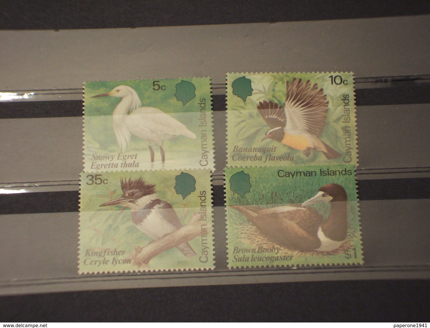 CAYMAN - 1984 UCCELLI 4  VALORI - NUOVI(++) - Cayman (Isole)