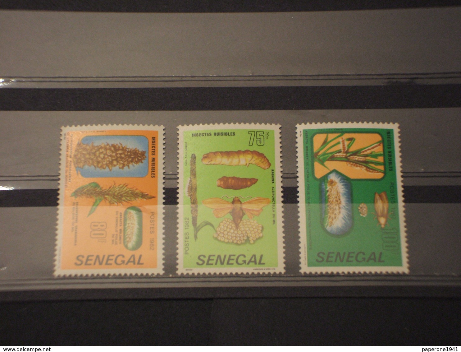 SENEGAL - 1982 LARVE INSETTI 3 VALORI - NUOVI(++) - Senegal (1960-...)