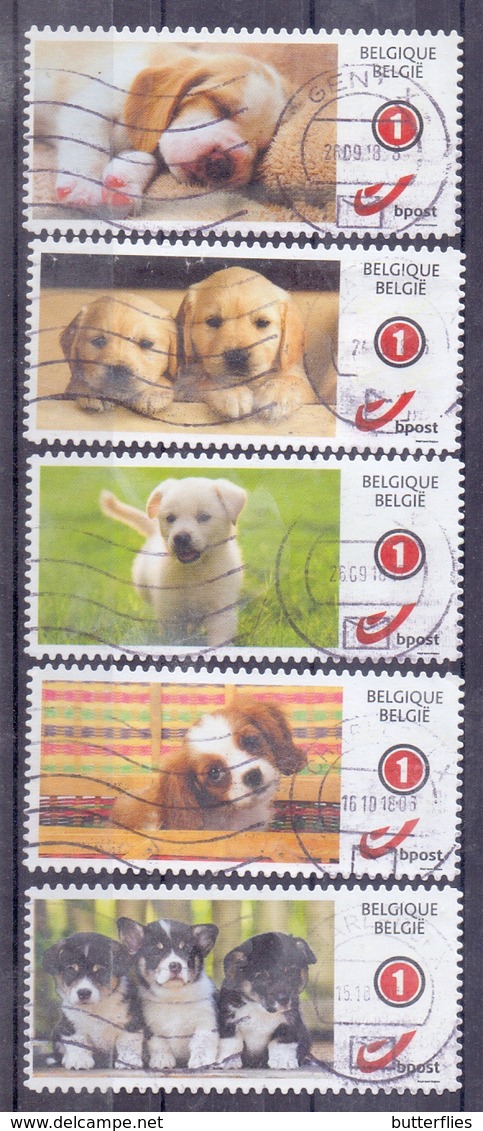 België - Duostamps  - Honden - Zonder Papierresten - Usati