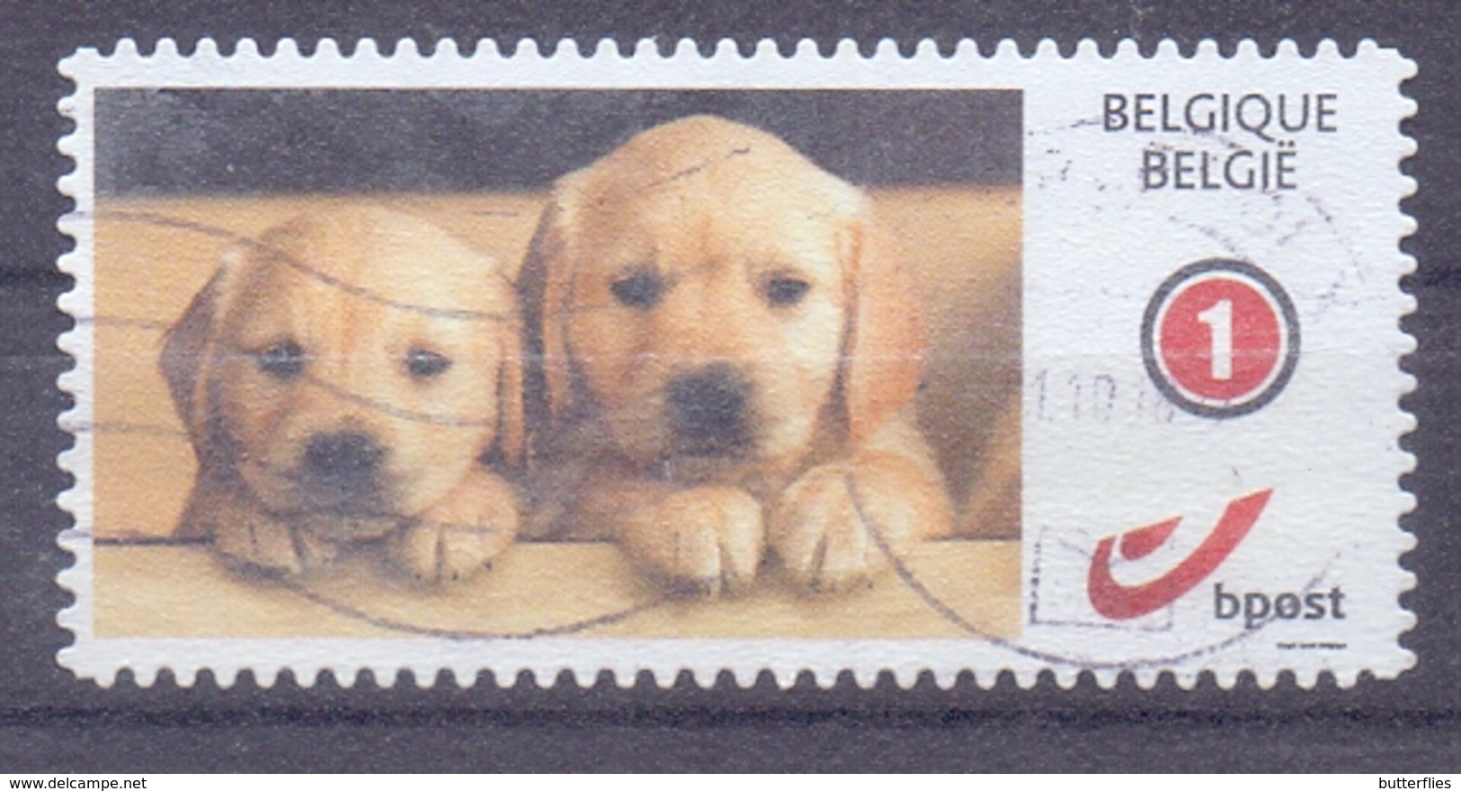 België - Duostamps  - Honden - Zonder Papierresten - Oblitérés