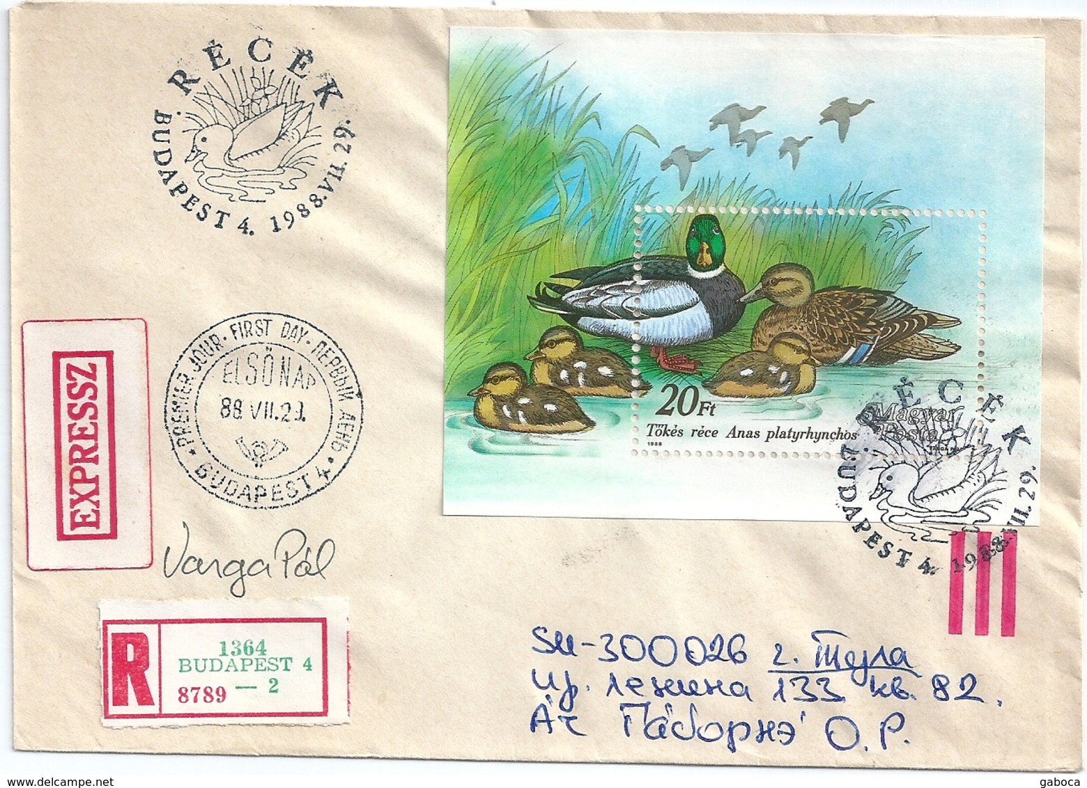 B7176 Hungary FDC Fauna Bird Duck S/S Registered+EXPRESS RARE - Canards