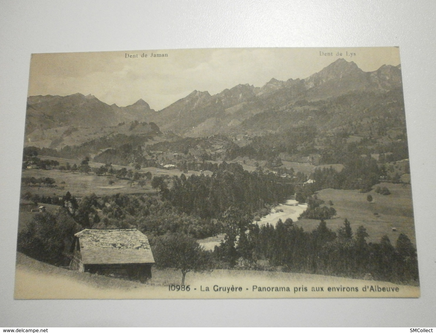 Suisse. La Gruyère, Panorama Pris Aux Environs D'Albeuve (8379) - Albeuve