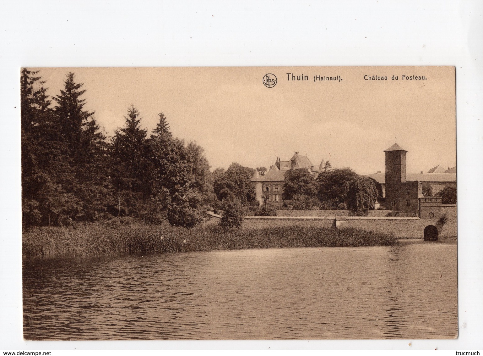 36 - THUIN - Château Du Fosteau - Thuin