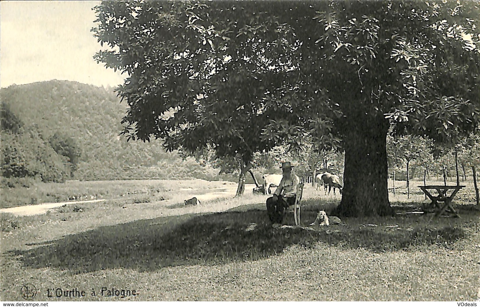 CPA - Belgique - L'Ourthe à Palogne - Ferrieres