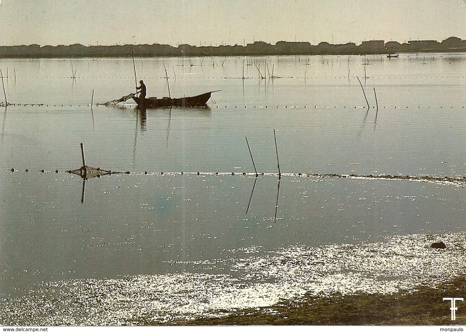 34. CPM. Hérault. Languedoc. Mauguio. Etang De Maugio. Scène De Pêche (animée) - Mauguio