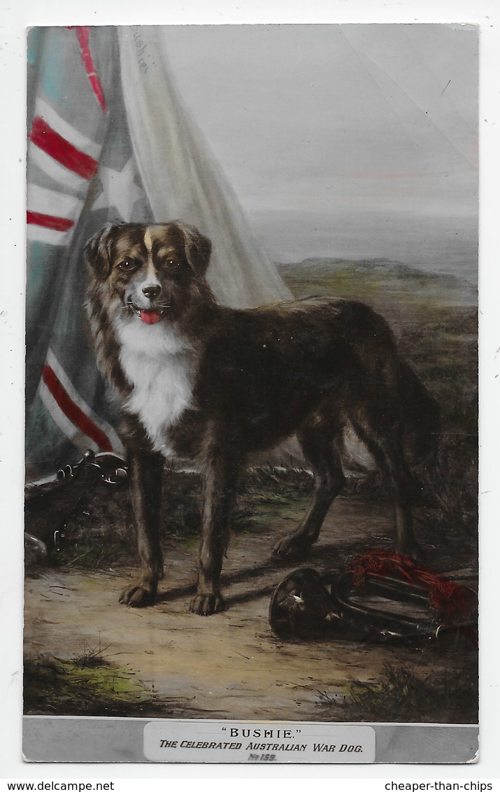 "BUSHIE" - The Celebrated Australian War Dog - Other & Unclassified