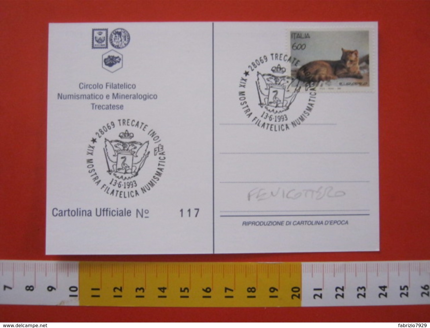 A.12 ITALIA ANNULLO 1993 TRECATE NOVARA STEMMA ARALDICA SPADA FENICOTTERO UCCELLO BIRD CARD CASTELLO - Fenicotteri