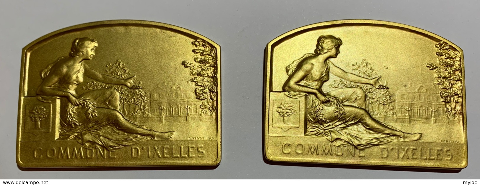 Médailles Bronze. A. Hebbelinck. Le Comité D'ixelles. 1946. Temoignage  Leo Mundeleer. Lot De 2 Médailles Dans écrin. - Unternehmen