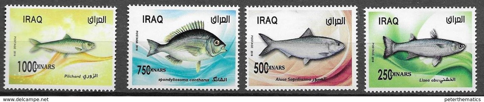 IRAQ, 2019, MNH,  FISH,4v - Fishes