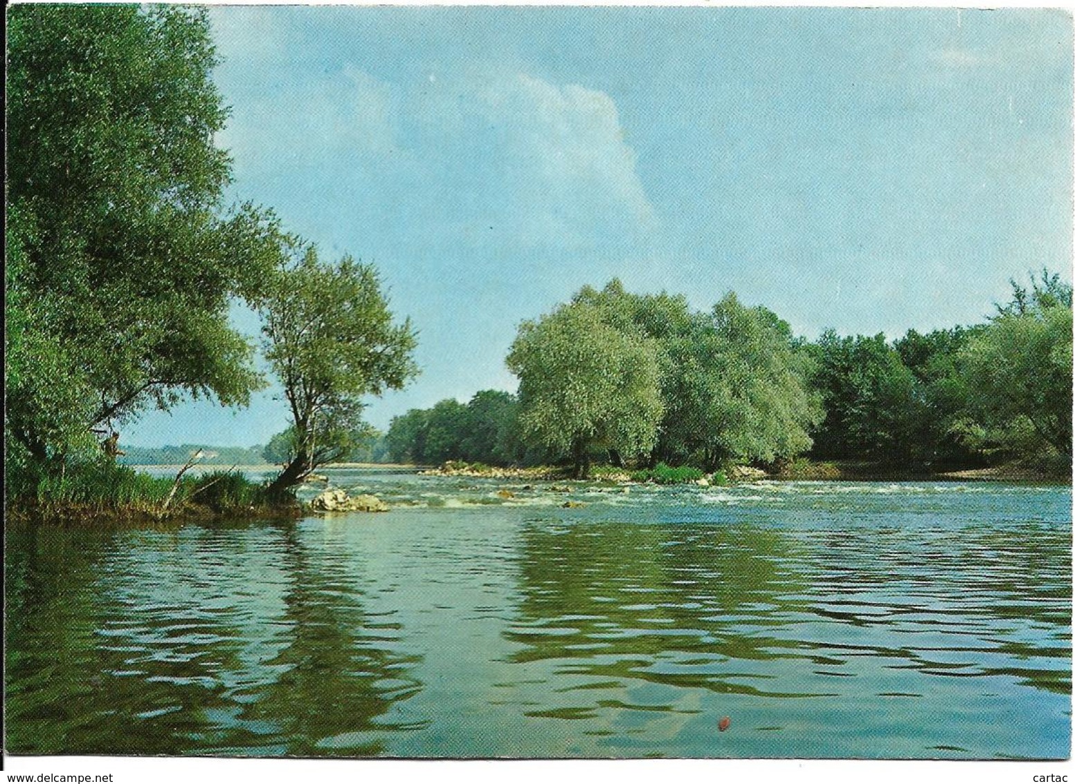 D45 - OUSSON SUR LOIRE - LES BORDS DE LA LOIRE - LA BRECHE - CPSM Grand Format - Autres & Non Classés