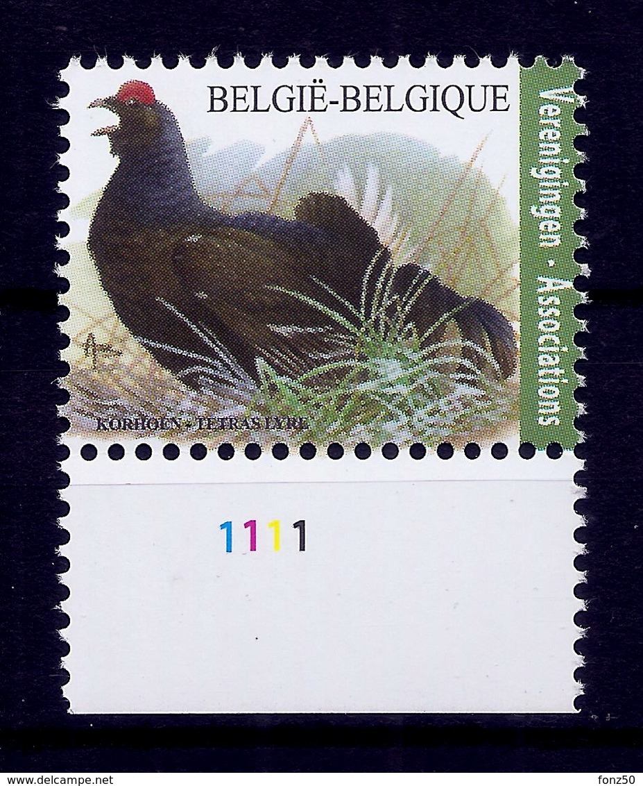 BELGIE * Buzin * Nr 4305 Plaatnr 1 * Postfris Xx * WIT PAPIER - 1985-.. Oiseaux (Buzin)