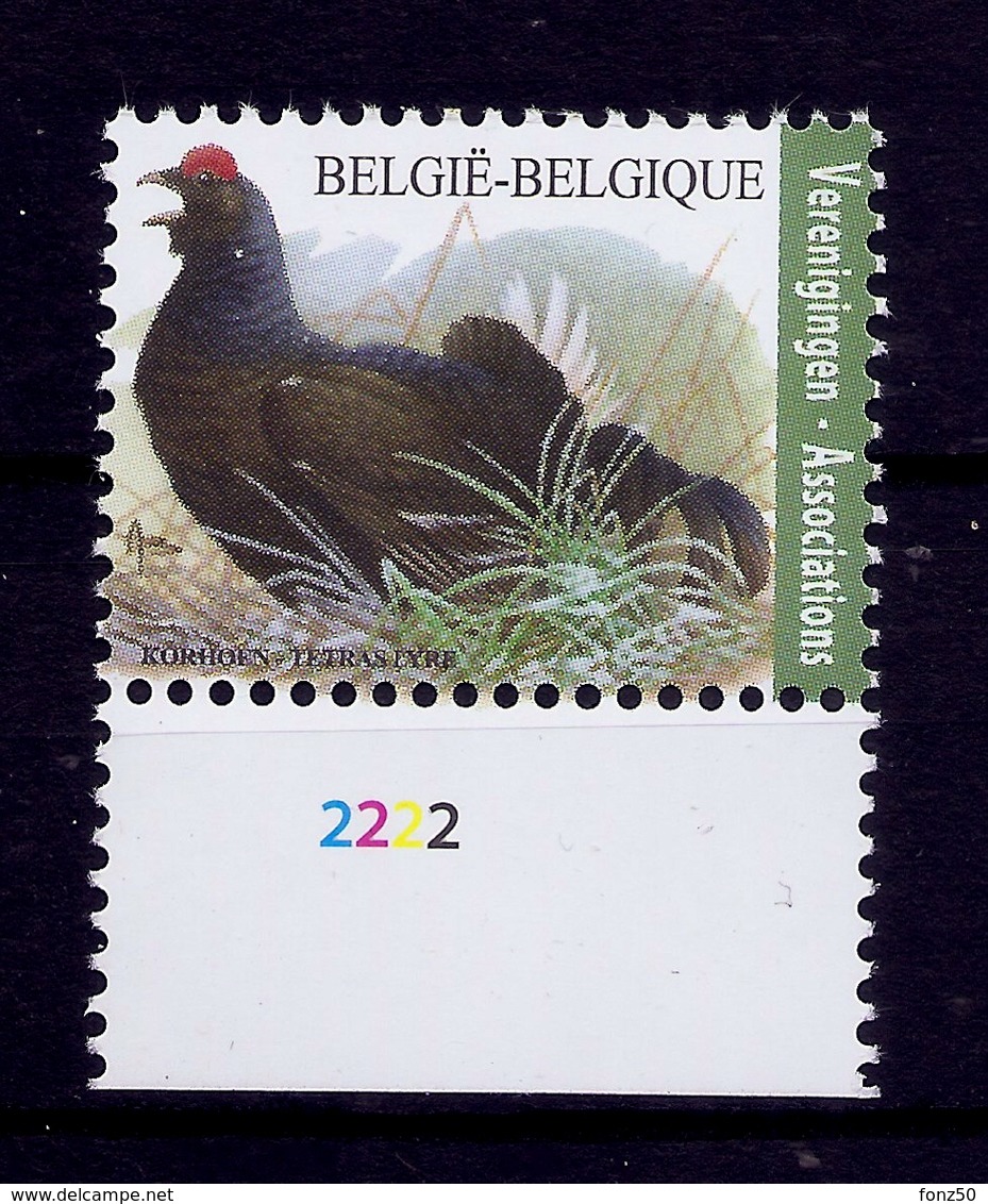 BELGIE * Buzin * Nr 4305 Plaatnr 2 * Postfris Xx * WIT PAPIER - 1985-.. Oiseaux (Buzin)