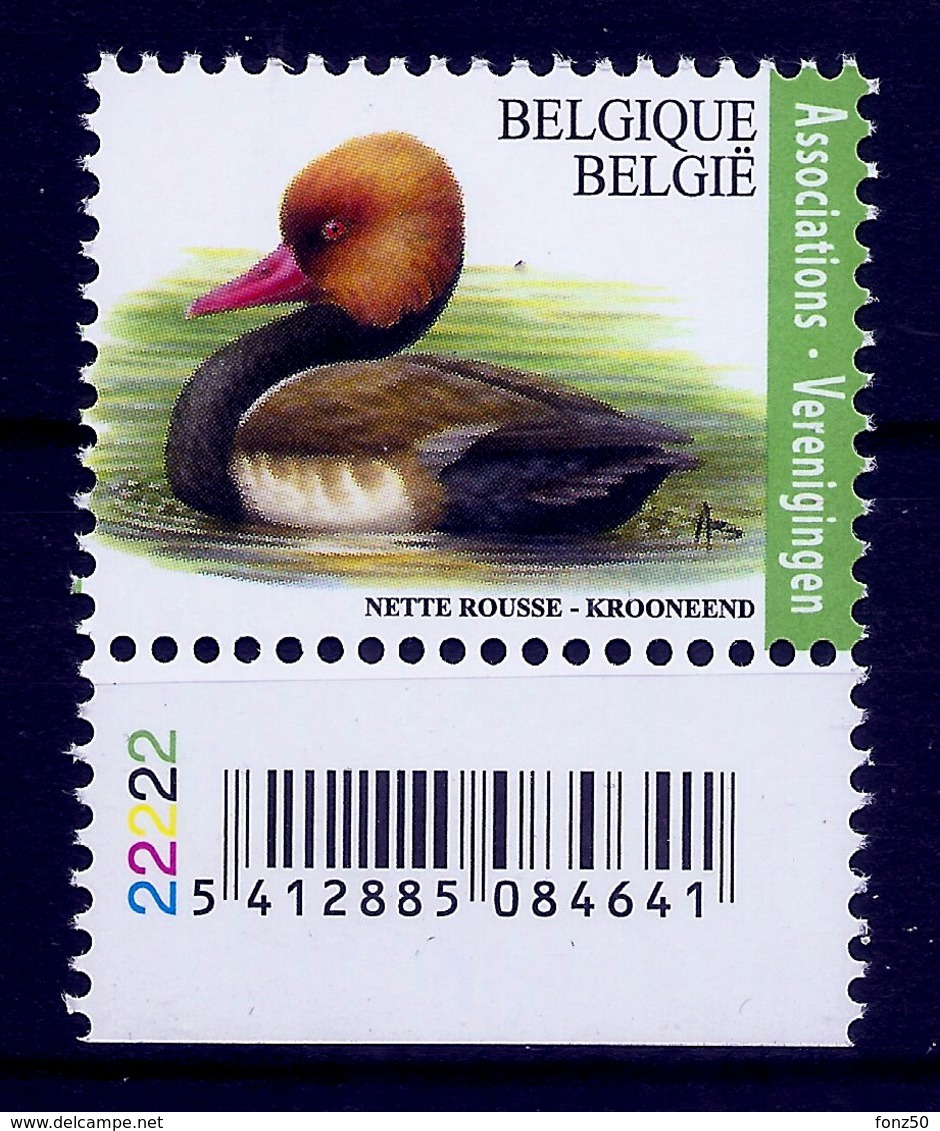 BELGIE * Buzin * Nr 4759  Plaatnr 2 * Postfris Xx * WIT  PAPIER - 1985-.. Birds (Buzin)