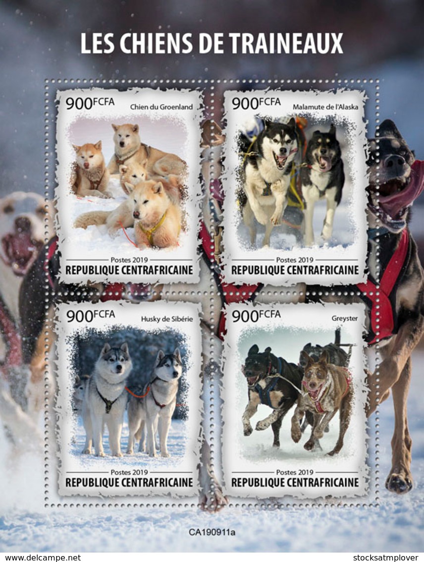 Central Africa  2019 Fauna  Sled Dogs    S201912 - Central African Republic