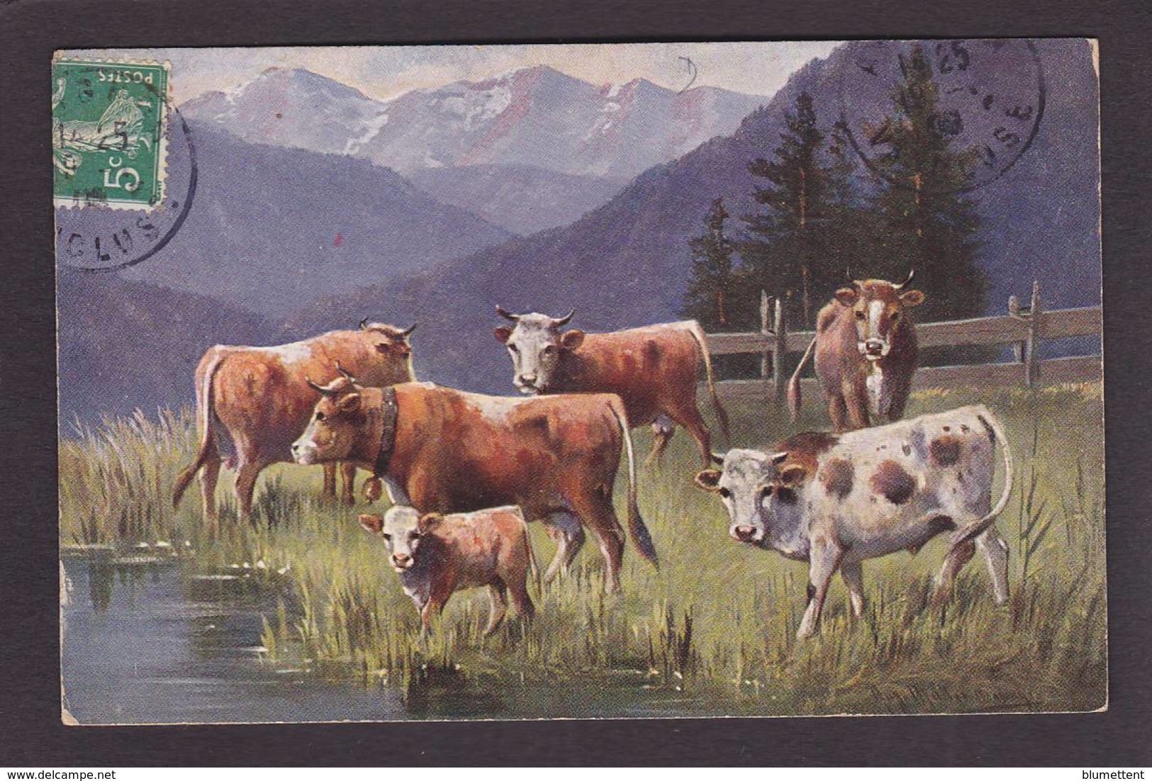 CPA Vaches Vache Circulé - Koeien