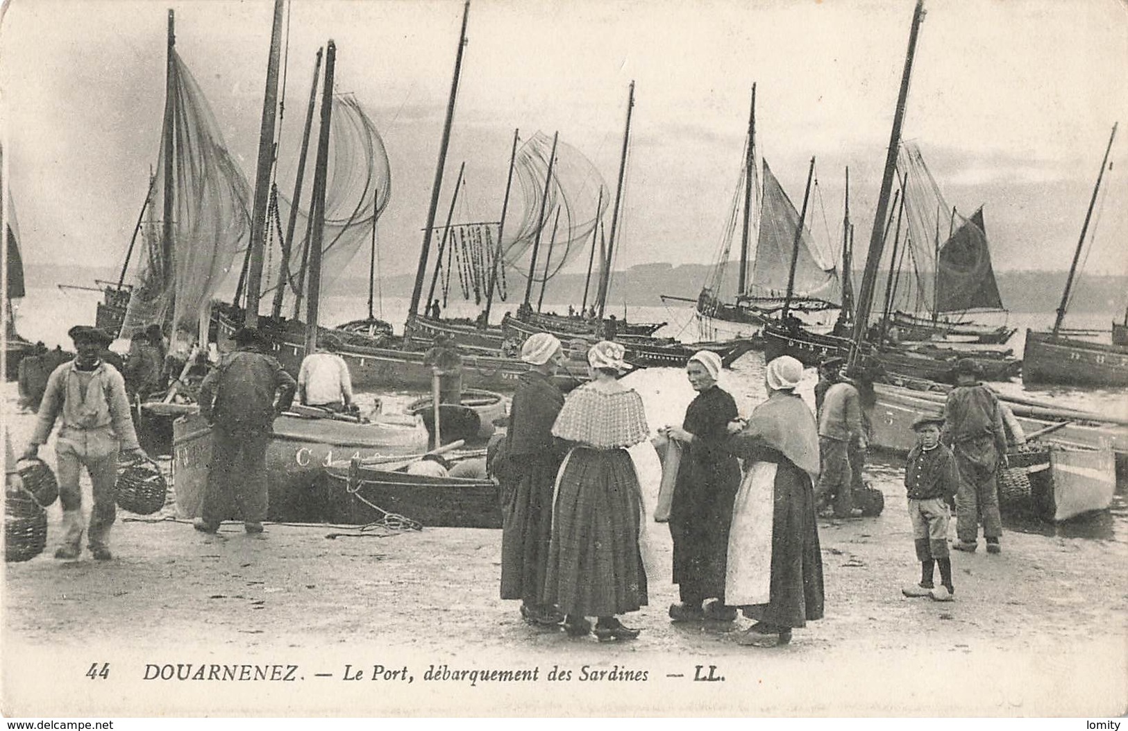 29 Douarnenez Le Port Debarquement Des Sardines - Douarnenez