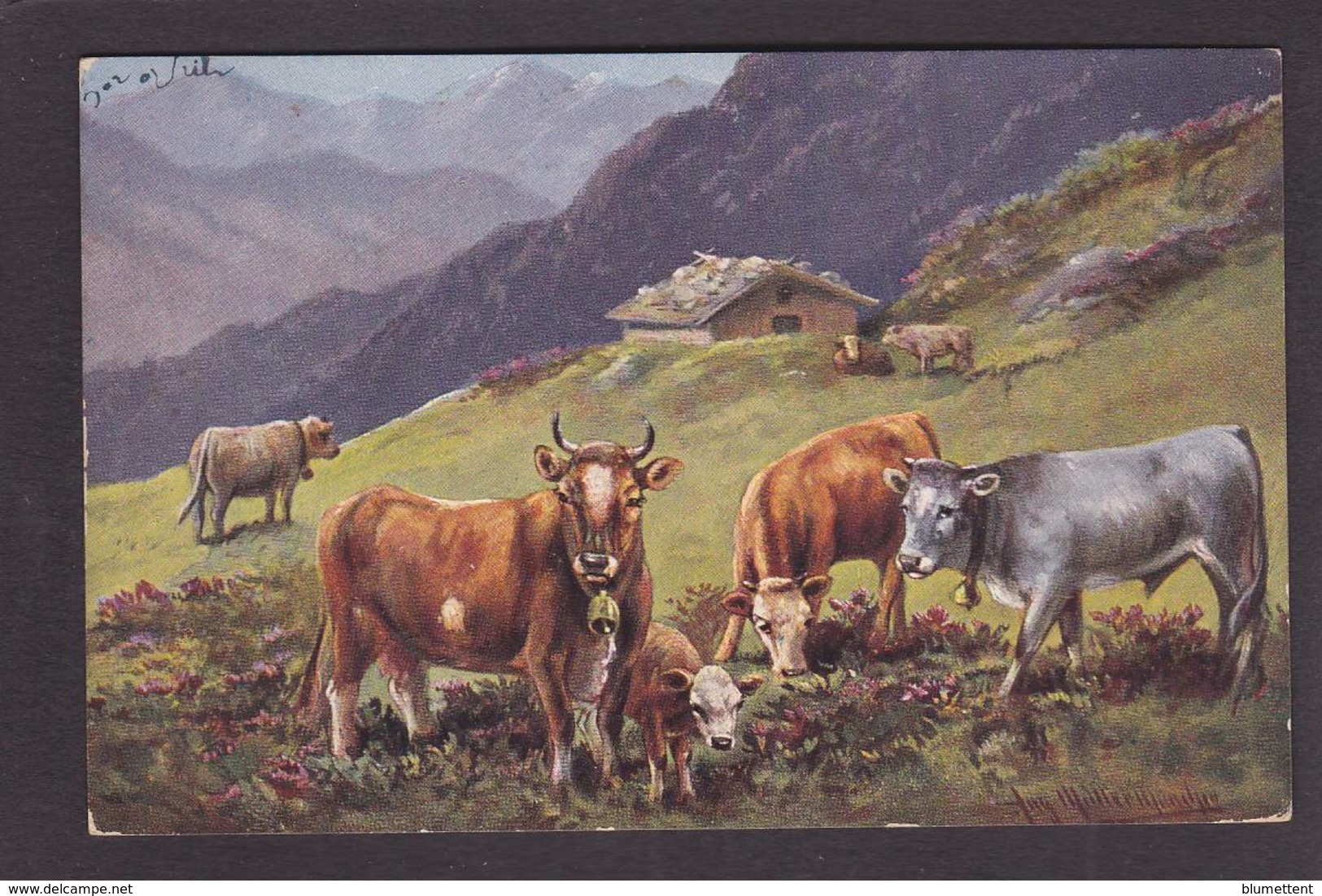 CPA Vaches Vache écrite - Kühe