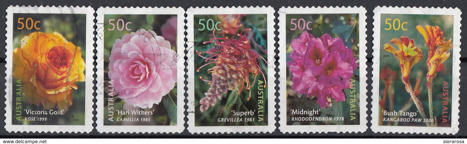 Australia 2003 Sc. 2143-2147 Flowers Fiori Full Set Used Rose Rododendro Bush Tango Grevillea - Altri & Non Classificati