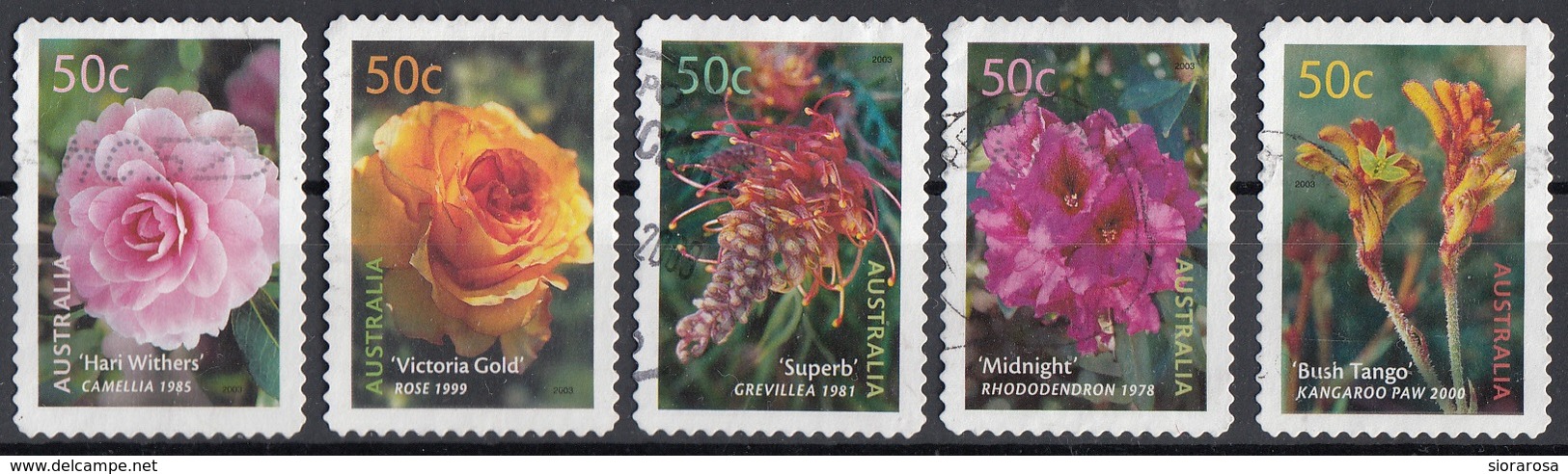 Australia 2003 Sc. 2143-2147 Flowers Fiori Full Set Used Rose Rododendro Bush Tango Grevillea - Roses