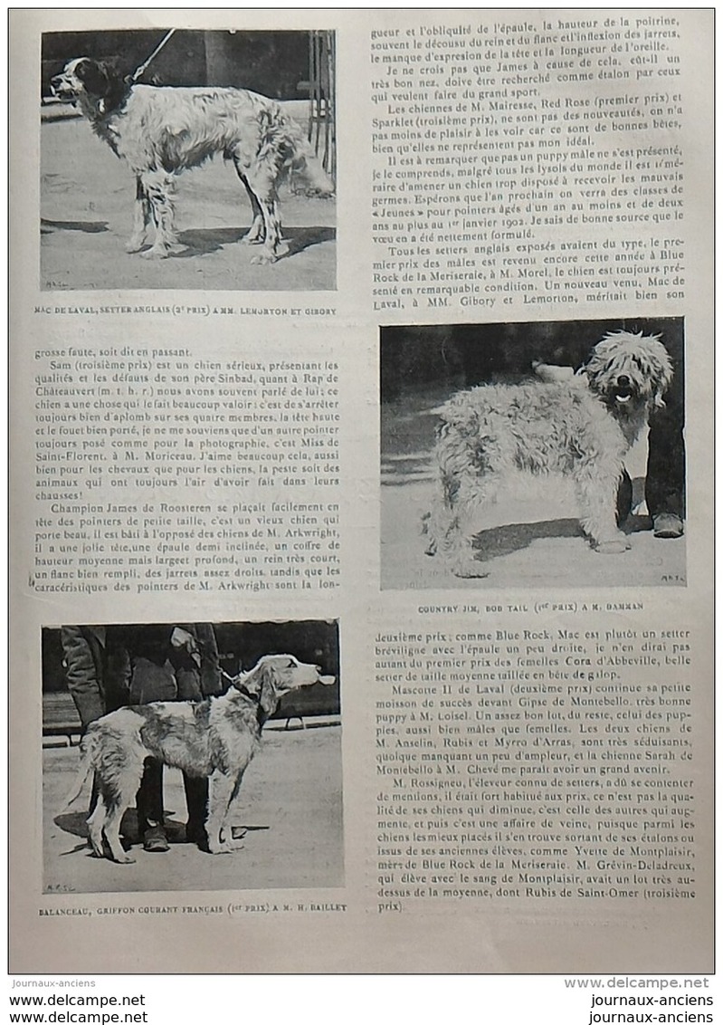 1901 LONGCHAMPS GRAND PRIX DE PARIS - CHANTILLY - EXPOSITION CANINE - FROU FROU ET LE GRAND PRIX