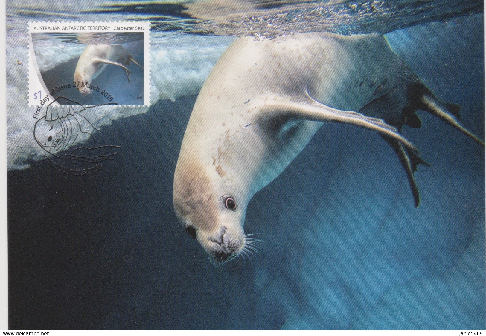 Australian Antarctic Territory 2018 Crabeater Seal,Crabeater Seal Diving, Maximum Card - Tarjetas – Máxima